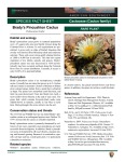 Pediocactus bradyi Bradys pincushion cactus